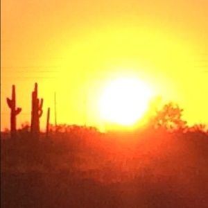 Meet your Posher, Chloe